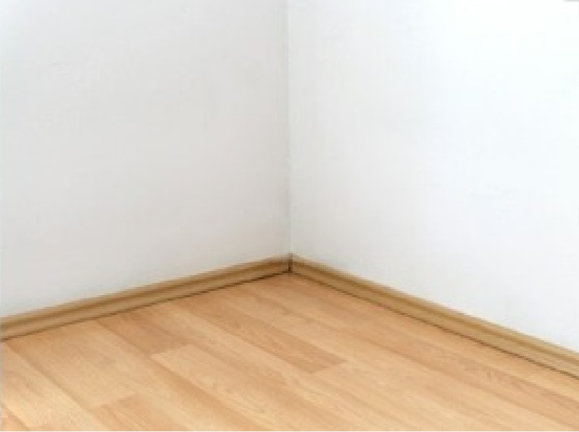 Mold after remediation