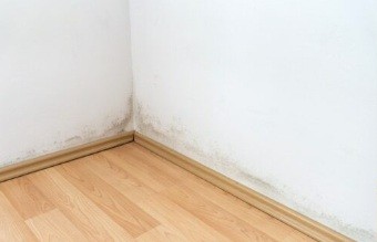 Mold before remediation